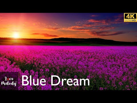 Blue Dream (Audio)