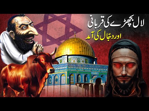 Israel Sacrificing Red Heifer In April | End time Prophecy | Dajjal Is Coming