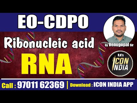 RNA in Food and Nutrition | Key Insights into Cellular Health | EO CDPO | ICON INDIA