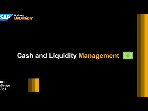 Cash and Liquidity Management Overview in SAP Business ByDesign