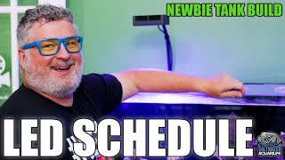 LED Lighting SCHEDULE for Saltwater Aquariums  - Newbie Tank Build