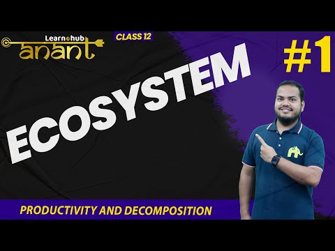 Ecosystem Class 12 Biology NCERT Chapter 12 #1 | Productivity and Decomposition | Atharv Batch |