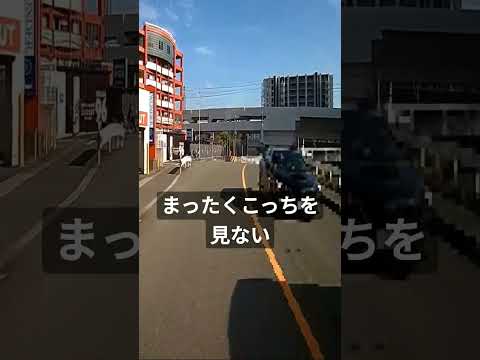 130 老害は車の運転だけじゃない、自転車乗っても、安全確認しない、老害ミサイル #shorts