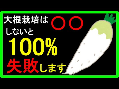 【大根の育て方】栽培が失敗する理由は種まき？間引き？連作障害？害虫？上手にできるコツやポイントについて簡単に分かりやすく解説しました！【初心者向け】