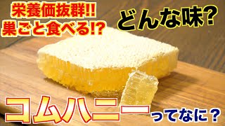 【巣ごと食べるハチミツ】コムハニーってなに？？