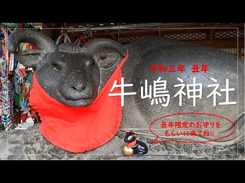 【丑年】令和三年のお参りはここ！！牛と関係の深い牛嶋神社へGO！