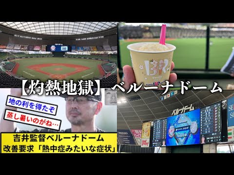 ベルーナドーム行ったら暑すぎて帰りました【プロ野球観戦】