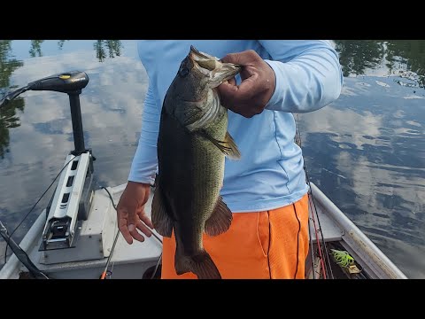 Bass Crushes Top Water!! #bass #bassfishing #topwater #bigbass #killaoutdoors #fishing #fy #fyp fy