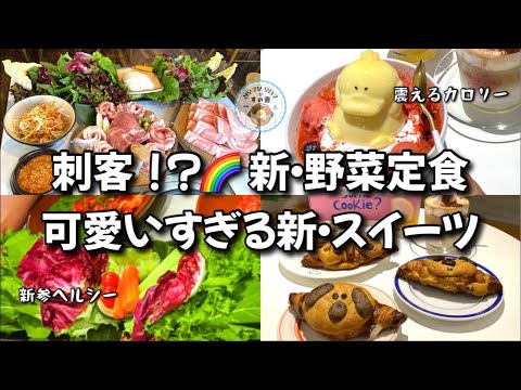 【新大久保グルメ】新店🌈どちらに行く！？第２の野菜天国！