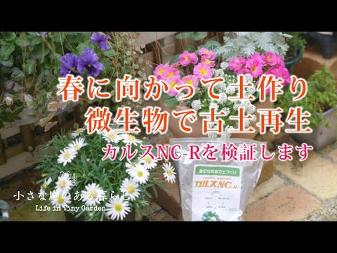 ガーデニング ｜小さな庭の土問題を解決します｜残さを使って古土を再生｜カルスNC-Rの実力｜ 〜小さな庭のある暮らし 106〜Gardening ｜ Life in a tiny garden