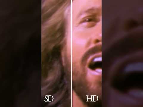 New Bee Gees Videos #shorts