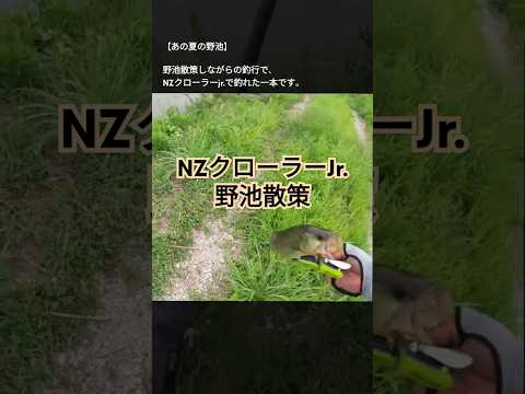 【NZクローラーjr.】【野池釣行】過去編 野池で一本！#トップウォーター #bassfishing #デプス #shorts