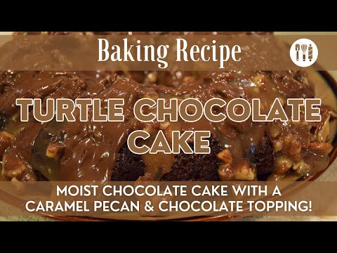 Turtle Chocolate Cake | Turtle Cake Recipe | Chocolate Cake with a Caramel Pecan & Chocolate Topping