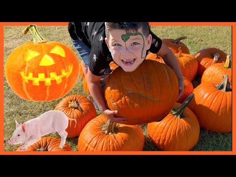 Caleb EXPLORES the Pumpkin Patch! Kids Fun Trip to the Farm with Halloween Pumpkins & PETTING ZOO!