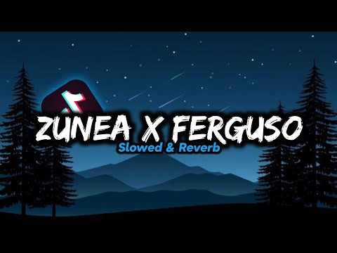 DJ Zunea x Ferguso - Slowed & Reverb 🎧