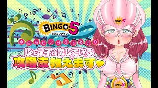 今日も【ビンゴ５】で決まり！しょう子が試しているビンゴ５の攻略法教えます