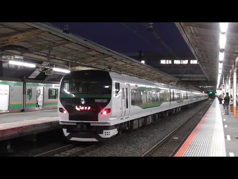 【東海道線】特急踊り子51号～56号　E257系5000番台9両　2023.2.12