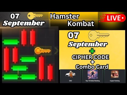 Hamster Kombat mini game September 7 / puzzle game / Puzzle game Solved / September 7 hamster kombat