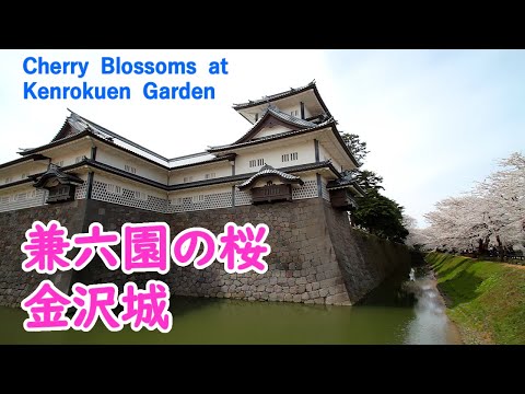 Cherry Blossoms at Kenrokuen Garden with Relaxing Music ( Ishikawa ) / Spectacular Views of Japan