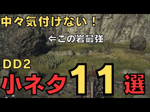 【ドラゴンズドグマ2】初見で気付いたら凄い！小ネタ他11選【DD2解説】