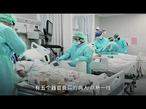 十大烧脑悖论之一，如果拉杆在你手上，你会怎么选择？#科技 #涨知识 #科技趣闻