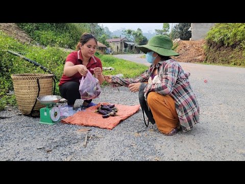 Go to the garden and cut eggplants to sell on the street for money