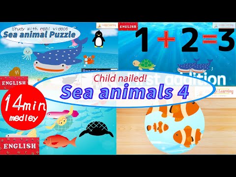 [English] Sea animal Quiz Medley What kind of a sea creature? 4 Educational video For Baby & toddler