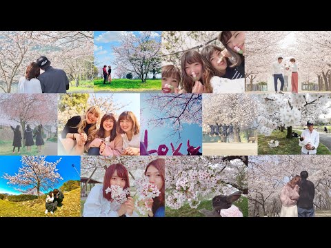 MACO「桜の木の下」FAN MADE MOVIE  #MACOと思い出作り