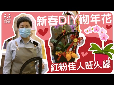 【新春DIY砌年花】紅粉佳人旺人緣👩🏻‍🤝‍