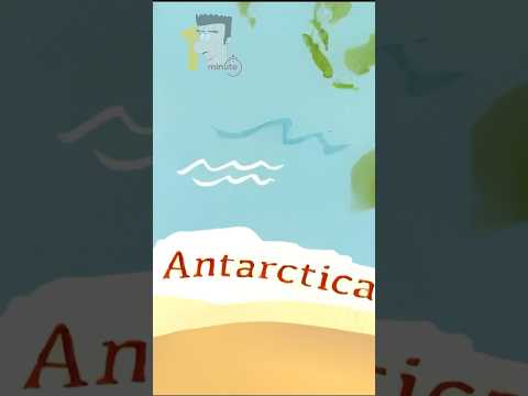 Big number song, Antarctica and desert! #childrensbook #animation