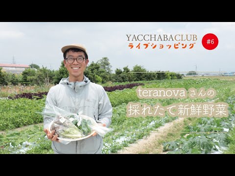 #6 teranova さんの採れたて新鮮野菜セット！