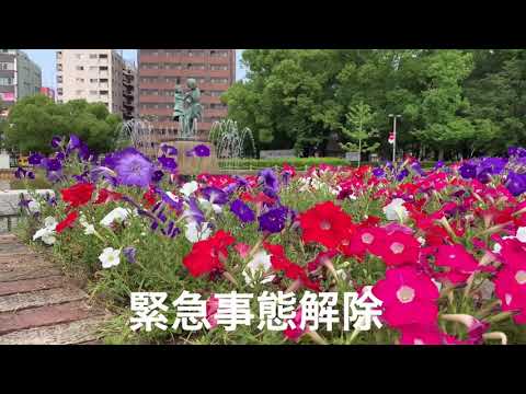 野球⚾️再開　ホームラン映像有ります