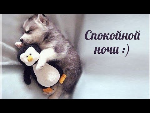 Самых Сладких СНОВ // СПОКОЙНОЙ НОЧИ ✨