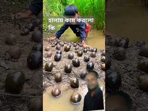 হালায় কামরা করল কি #motivation #video #funny