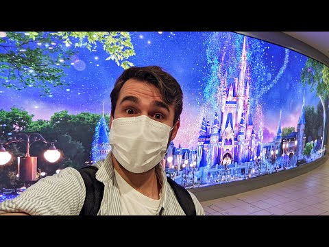 Walt Disney World Solo Vlog | Day 1 | Travel Day in Upper Class | February 2022 | Adam Hattan