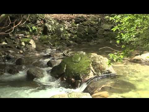 大山田　奥馬野清流