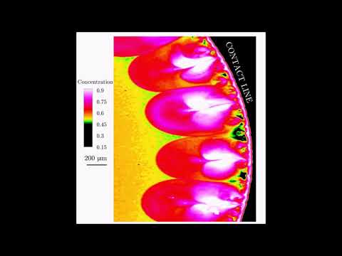 Inverse cascade of the vortical structures near the contact line of evaporating sessile droplets