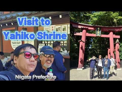 Visit to Yahiko Shrine ⛩