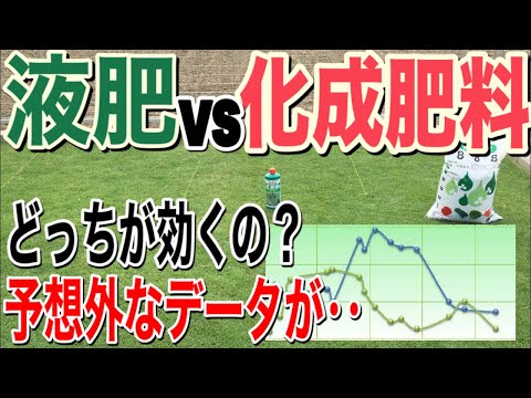 芝生の肥料！液肥と化成肥料の効果を比較！驚きのその実力は‥？