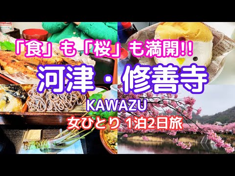 [Nakaizu 2days]Feel the spring at the Kawazu cherry blossoms in full bloom and Shuzenji hot springs