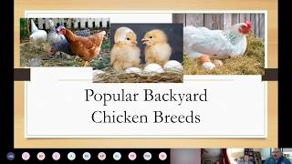 Backyard Poultry Part 1 by Shannon Dietz - Home Grown Lecture Series