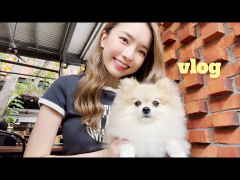 vlog | 狗狗日常 咖啡厅&公园 3歲生日🎂 日常都吃什麼 米飯姐妹 ｜StephyYiwen