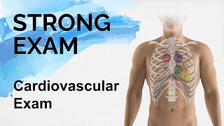 The Cardiovascular Exam / Heart Sounds (Strong Exam)