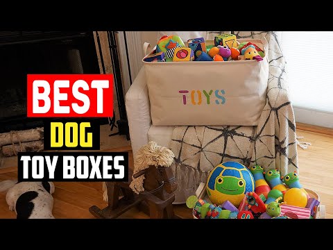 ✅ Top 5 Best Dog Toy Boxes in 2023