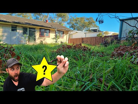 FREE Lawn Makeover Of INSANELY Thick OVERGROWN Long Grass | You Won't BELIEVE What I Found?