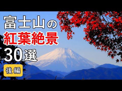 Top 30 best views of Mt. Fuji & Autumn Leaves Part 2 / Nihon-daira, Mt. Takao, Lake Tama, etc.