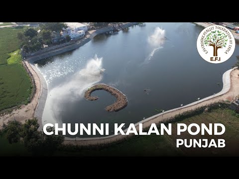 EFI's Chunni Kalan Pond | Punjab