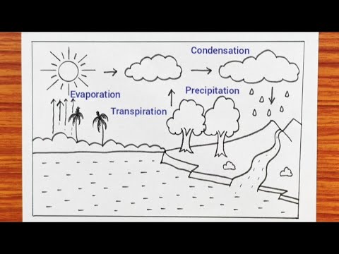 Water cycle sketch for student easy | School project sketch water cycle | How to sketch Water Cycle