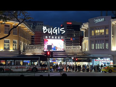 Singapore City Exploration | From City Hall to Bugis and Little India