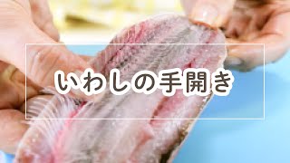 いわしの手開きのやり方【料理の基本】